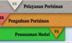 Pelatihan Manajemen Penanaman Modal Bali 2018