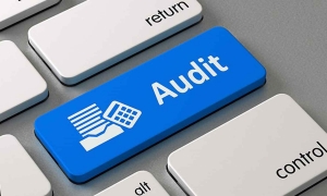 Diklat Audit Pengadaan