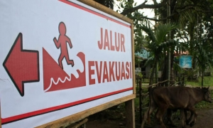 Pelatihan Manajemen Bencana