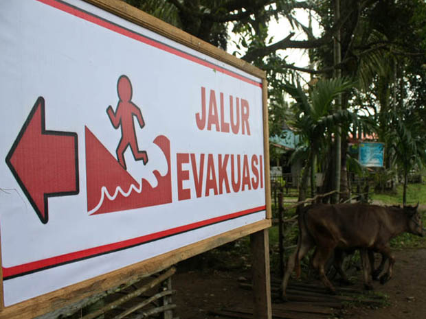 Pelatihan Manajemen Bencana