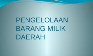 Diklat Audit BMD
