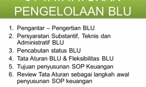 Pengelolaan BLU