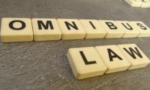 Omnibus Law
