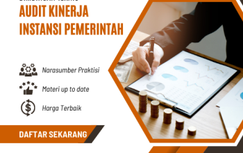 Bimtek Audit Kinerja Instansi Pemerintah